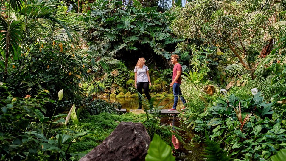 Couple exploring the lush tropical greenhouse at Frankfurt’s Palmengarten botanical gardens